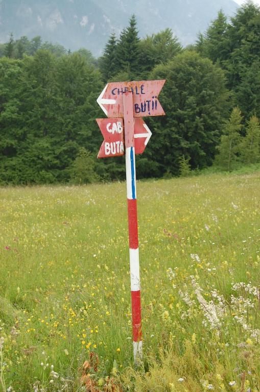 Complexul Turistic Cheile Butii Hotel Cimpu lui Neag Ngoại thất bức ảnh